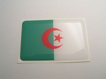 Small 31X20mm ALGERIA flag 3D Decal Sticker