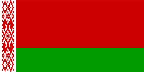 	Small 40X20mm Belarus flag 3D Decal 